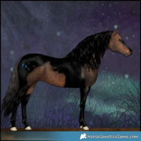 Horse Color:Void Brown Roan Tobiano 