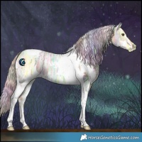 Horse Color:Nacre White Spotted Silver Buckskin Ice Dun Tobiano