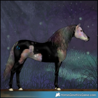 Horse Color:Void Nacre Bay Roan Dun Tobiano 