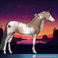 Horse Color:Bay Dun Tobiano Rabicano 