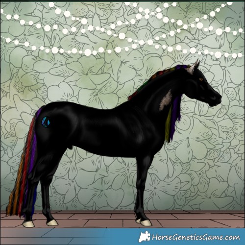 Horse Color:Void Painted Bay Ice Roan Dun Splash Tobiano 