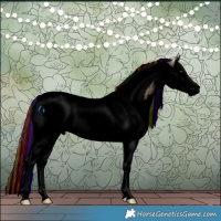 Horse Color:Void Painted Bay Ice Roan Dun Splash Tobiano 