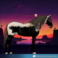 Horse Color:Void Buckskin Ice Dun Splash Frame Rabicano