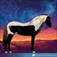 Horse Color:Void Buckskin Ice Dun Splash Frame Rabicano 