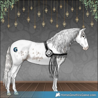 Horse Color:White Spotted Silver Black Ice Splash Tobiano Blanket Rabicano 