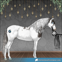 Horse Color:Liver Chestnut Splash Tobiano Frame Rabicano 
