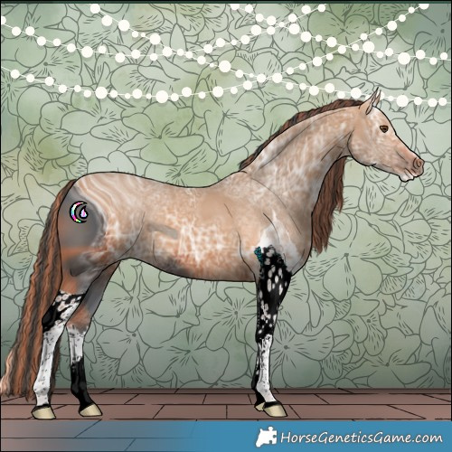 Horse Color:ERROR: UNKNOWN ANOMALY