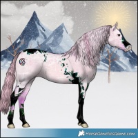 Horse Color:Watercolor Red Dun Ice Tobiano 
