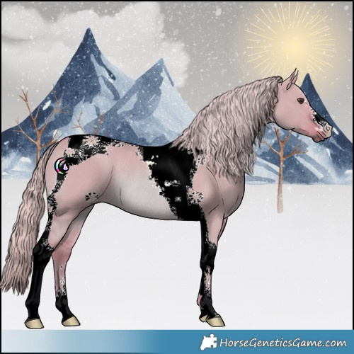 Horse Color:Watercolor Red Dun Tobiano Rabicano 