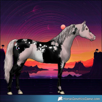 Horse Color:Watercolor Red Dun Tobiano Rabicano