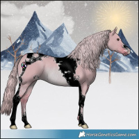 Horse Color:Watercolor Red Dun Tobiano Rabicano 