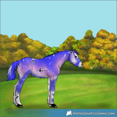 Horse Color:Watercolor White Spotted Blue Onyx 