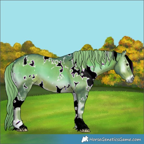 Horse Color:Watercolor White Spotted Liver Red Onyx 