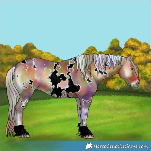 Horse Color:Nacre Watercolor White Spotted Red Onyx 