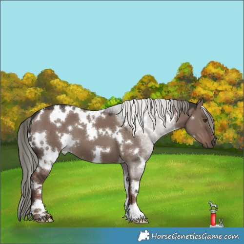 Horse Color:White Spotted Liver Red Dun Mushroom 