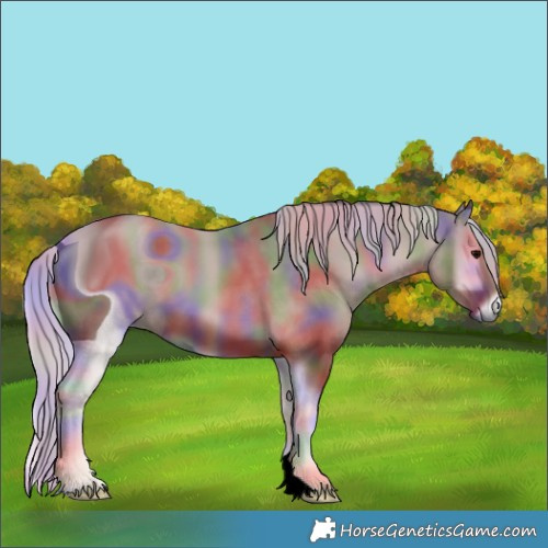 Horse Color:ERROR: UNKNOWN ANOMALY