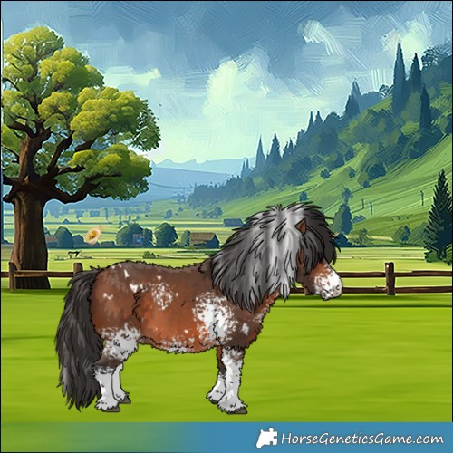 Horse Color:White Spotted Bay 