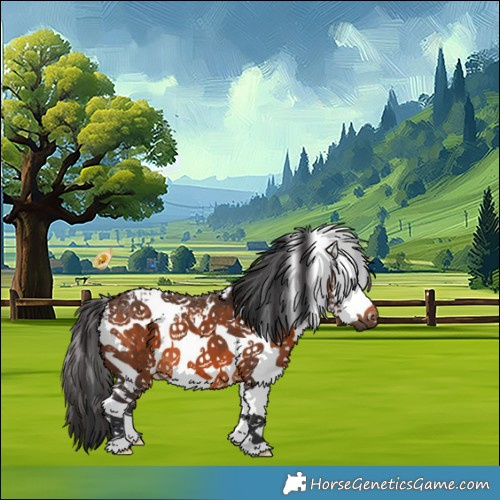 Horse Color:White Spotted Brown