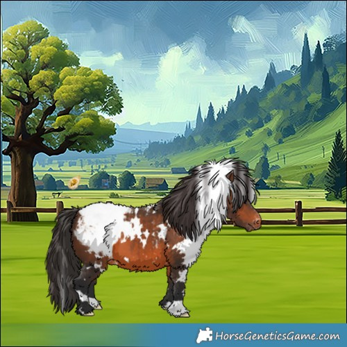 Horse Color:White Spotted Brown Appaloosa 