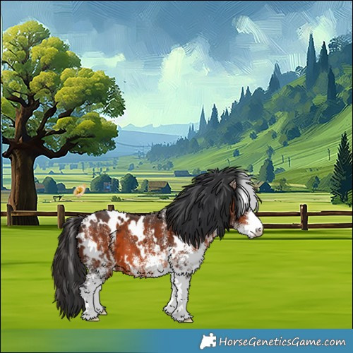Horse Color:White Spotted Brown 