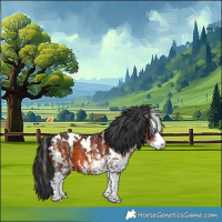 Horse Color:White Spotted Brown 