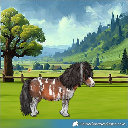 Horse Color:White Spotted Brown 