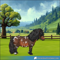 Horse Color:White Spotted Brown 