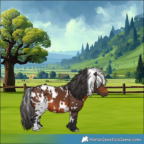 Horse Color:White Spotted Brown