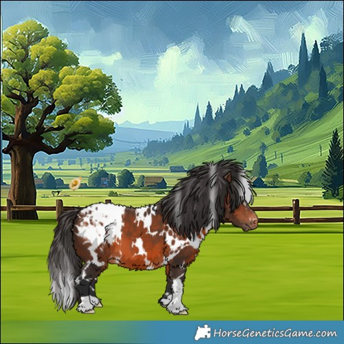 Horse Color:White Spotted Brown Appaloosa