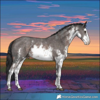 Horse Color:Platinum White Spotted Liver Chestnut Sabino Rabicano  and White Spotted Brown Sabino Rabicano 