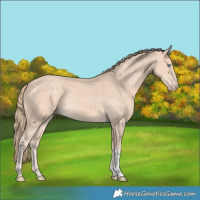Horse Color:Perlino