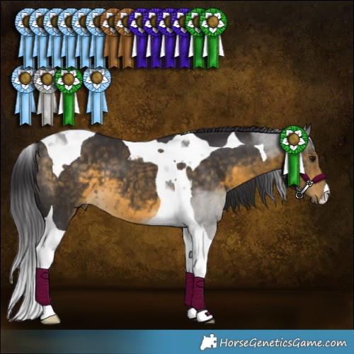 Horse Color:Buckskin Tobiano 
