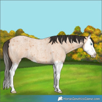 Horse Color:Bay Roan Dun Splash 