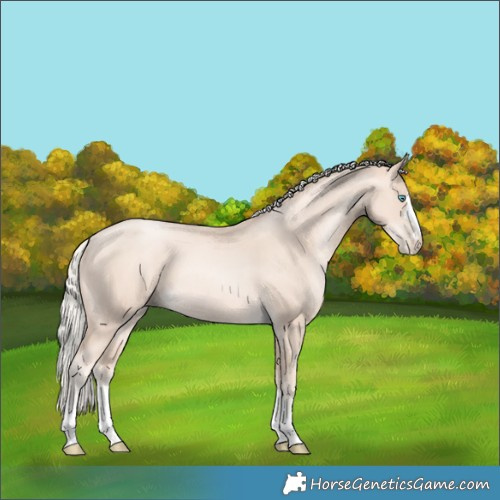 Horse Color:Gold Cream Champagne Pearl 