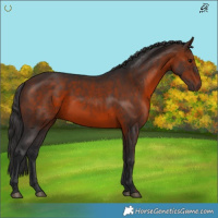 Horse Color:Brown 