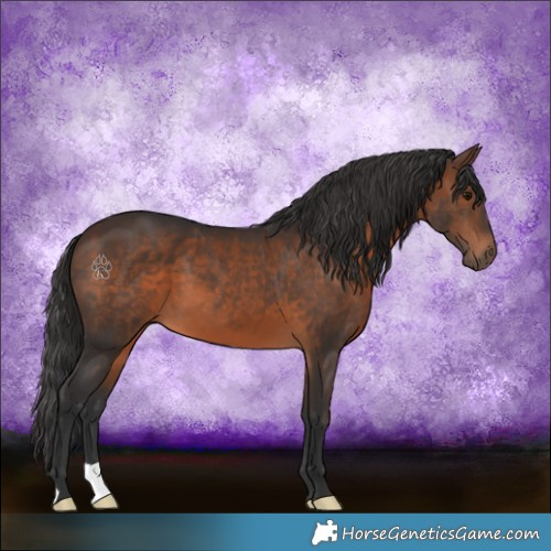 Horse Color:Brown 
