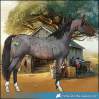 Horse Color:Bay Roan Rabicano 