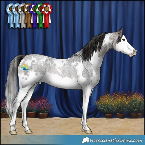 Horse Color:White Spotted Brown Roan Splash Rabicano 