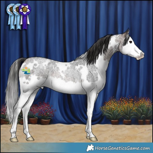 Horse Color:White Spotted Brown Roan Splash Rabicano 