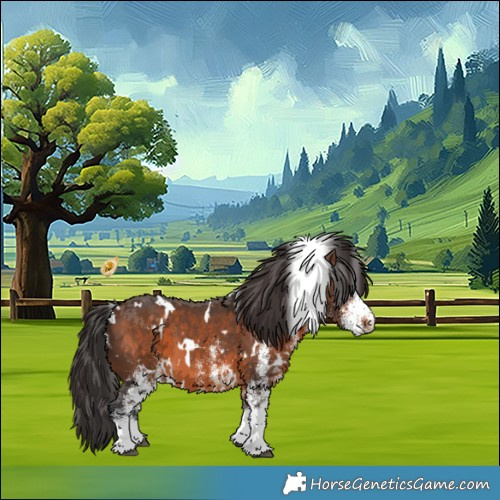Horse Color:White Spotted Brown 