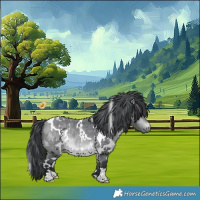 Horse Color:White Spotted Bay Chinchilla 