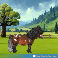 Horse Color:White Spotted Bay Blanket 