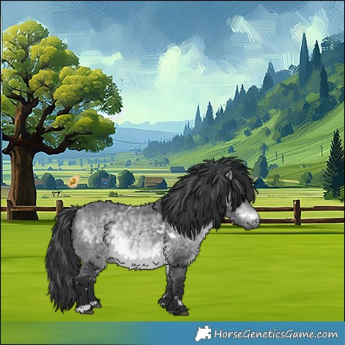 Horse Color:White Spotted Bay Chinchilla 