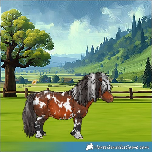 Horse Color:White Spotted Bay Appaloosa