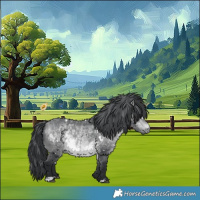 Horse Color:White Spotted Bay Chinchilla 