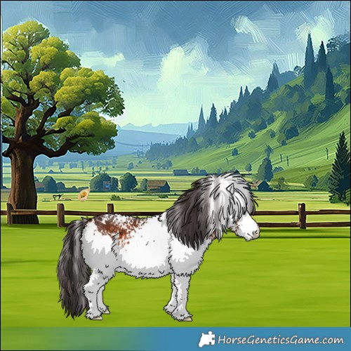 Horse Color:White Spotted Bay 