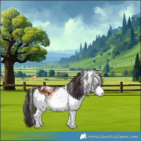 Horse Color:White Spotted Bay 