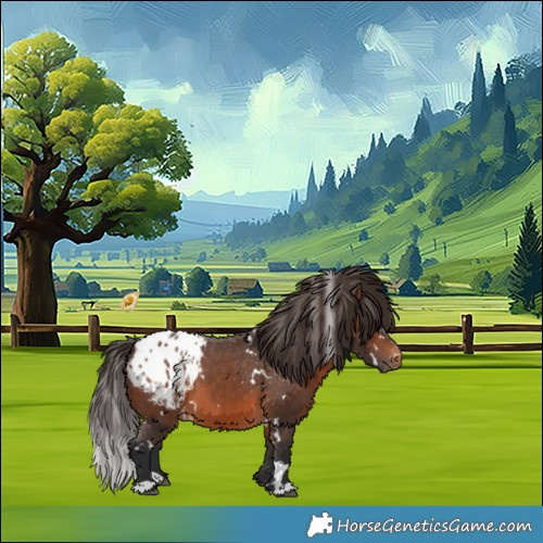 Horse Color:White Spotted Brown Blanket 