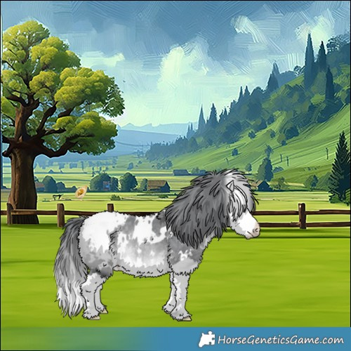 Horse Color:White Spotted Bay Chinchilla Splash Appaloosa 