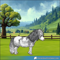 Horse Color:White Spotted Bay Chinchilla Splash Appaloosa 